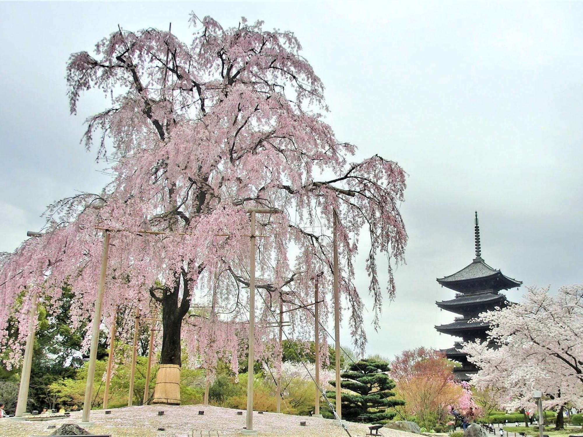 Stay Sakura Kyoto Higashi Hongan-Ji I ภายนอก รูปภาพ