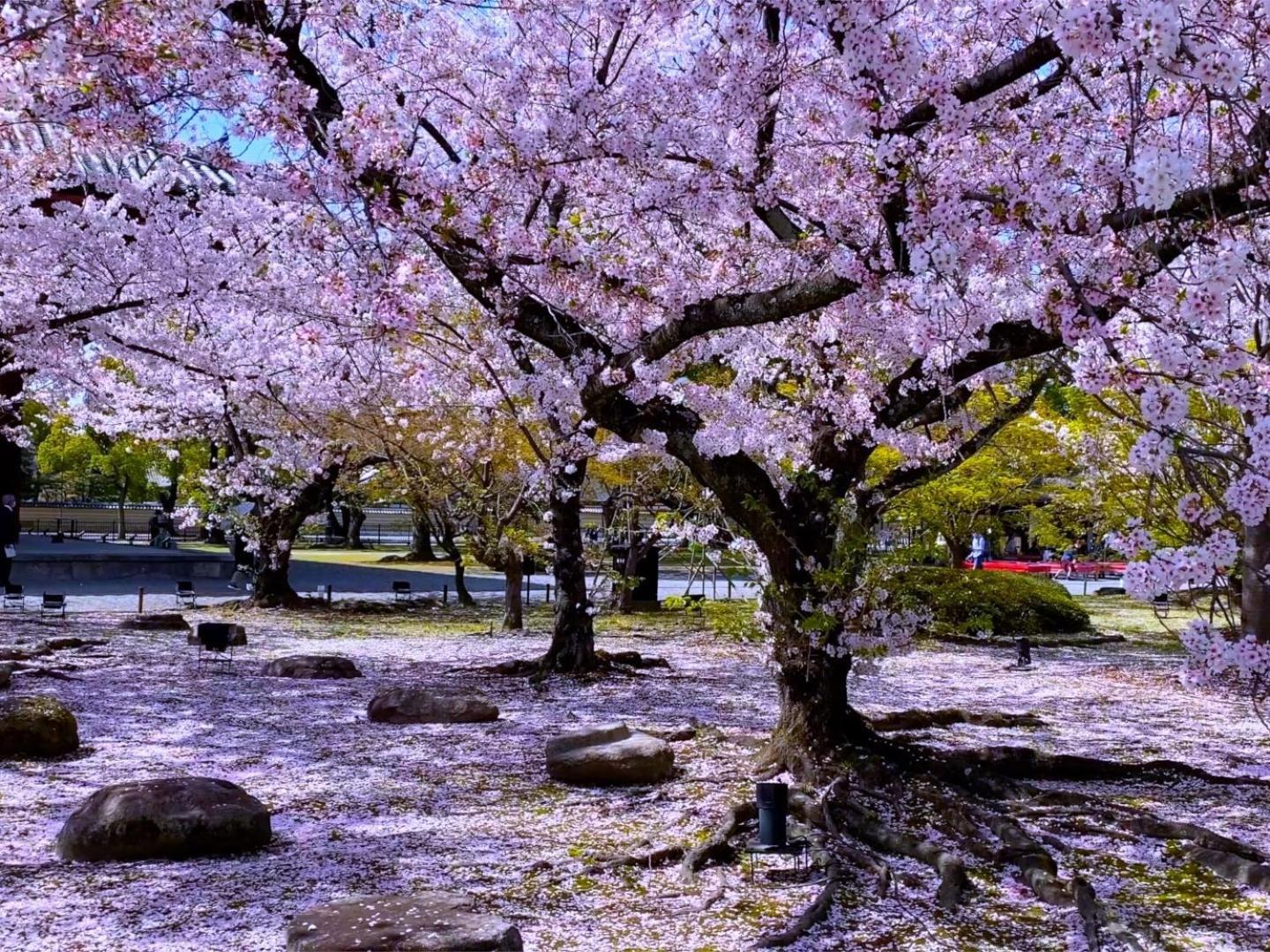 Stay Sakura Kyoto Higashi Hongan-Ji I ภายนอก รูปภาพ